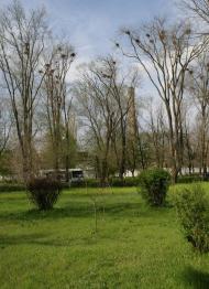 Менжинське з panoramio.com