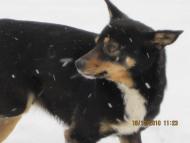 Княжолука з panoramio.com