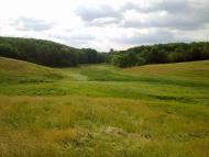 Бабенки з panoramio.com