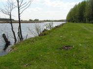 Сваркове з panoramio.com