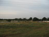 Шевченкове з panoramio.com