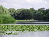 Піски з panoramio.com