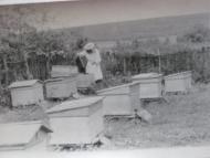 Велика Шапківка - Останні фото