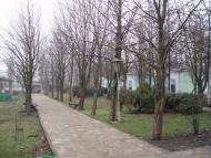 Новохортиця з panoramio.com