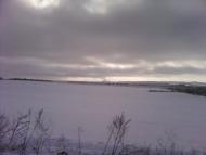 Гришки - Останні фото