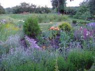 Одноробівка з panoramio.com