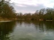 Косяківка з panoramio.com