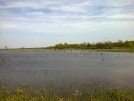 Погорілівка з panoramio.com