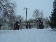 Царичанка з panoramio.com