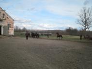 Камбурліївка з panoramio.com