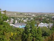 Каштани з panoramio.com