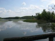 Ставидла з panoramio.com