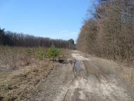 Кам'янка з panoramio.com