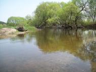 Цвітоха - Останні фото