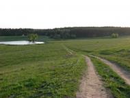 Ладижинські Хутори з panoramio.com