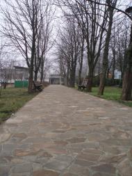 Новохортиця - Останні фото