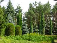 Васютинці з panoramio.com