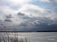 Орлик з panoramio.com