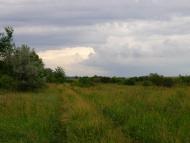 Сорочине з panoramio.com