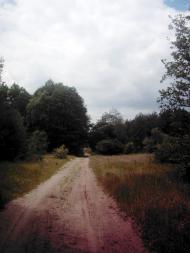 Лисняки з panoramio.com