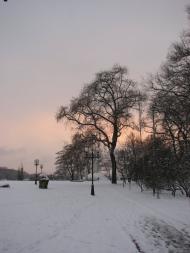 Чернігів з panoramio.com (ч.5)