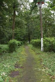 Ворзель з panoramio.com