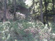 Хижа з panoramio.com