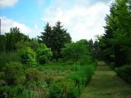 Васютинці - Останні фото