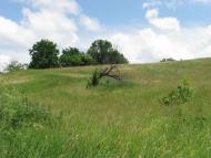 Ладижинські Хутори з panoramio.com