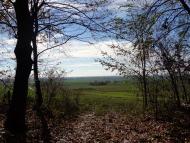 Корчів з panoramio.com