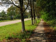 Стольне з panoramio.com