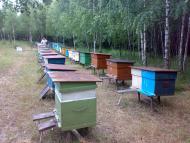 Гмирянка з panoramio.com