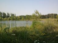 Ковильне з panoramio.com