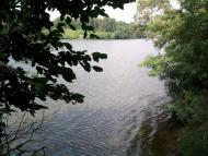 Пугачівка - Останні фото