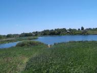 Пінчуки з panoramio.com