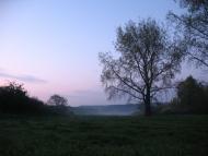 Заїченці з panoramio.com