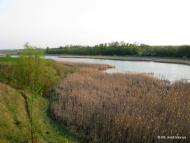 Кугаївці з panoramio.com