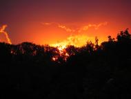 Гришки з panoramio.com