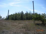 Ржавчик - Останні фото