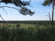 Підлісне з panoramio.com