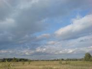 Дубина з panoramio.com