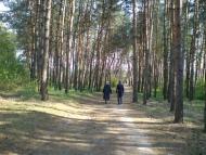 Кам'янка з panoramio.com - Каменка