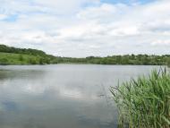 Одноробовка - Последние фото