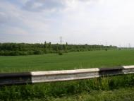 Українка з panoramio.com