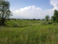 Теплодар з panoramio.com