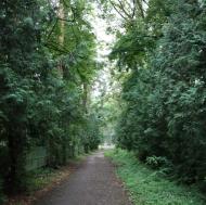 Ворзель з panoramio.com