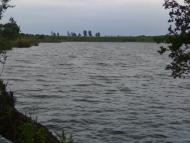 Вікторівка з panoramio.com
