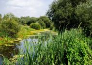 Козача Лопань з panoramio.com