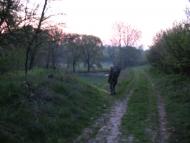 Заїченці з panoramio.com