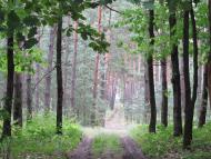 Степашки з panoramio.com